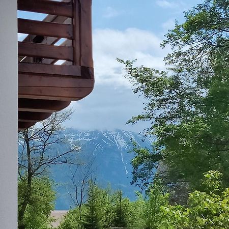 Ara Chalet Bran  Exterior foto